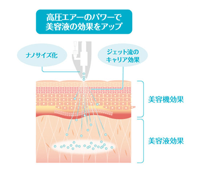 細胞を増やして若返る