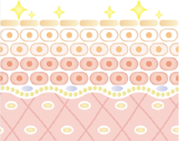 STEP5